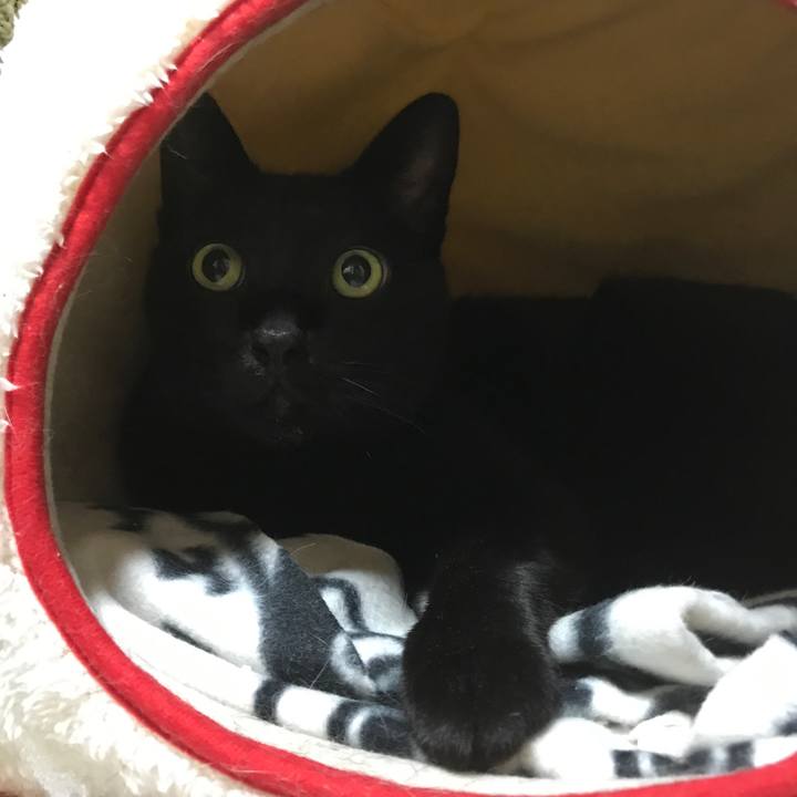 83259f16 8cd1 4dab 9627 9d8a3faaba5c