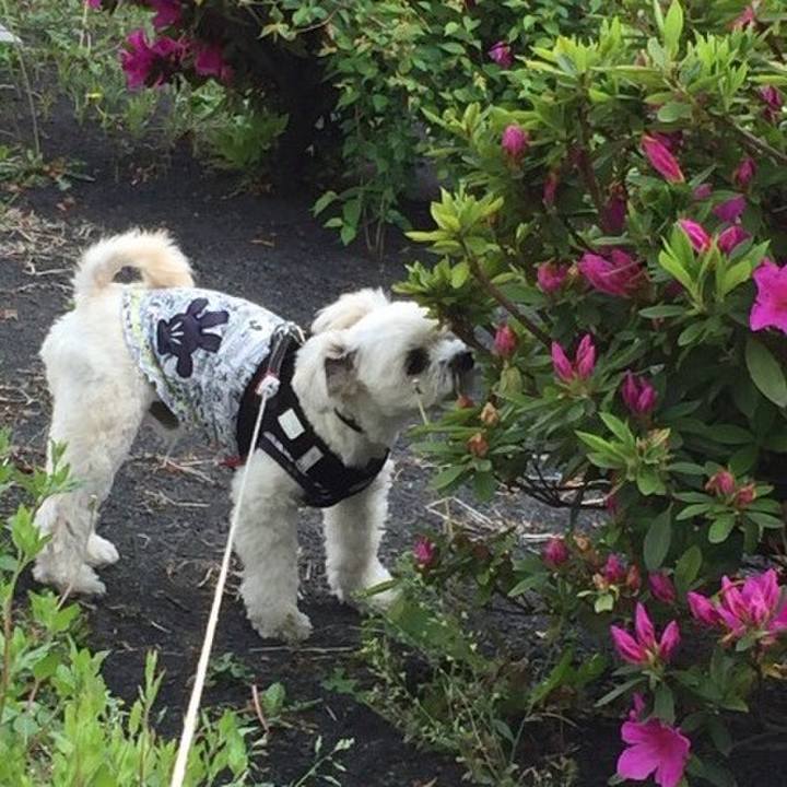 8325fc42 abac 408c abca a8e652f6e309