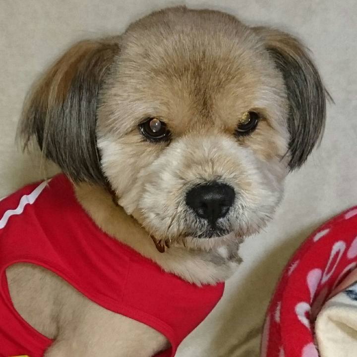 83261063 f2a8 4578 a9b1 d34359690212