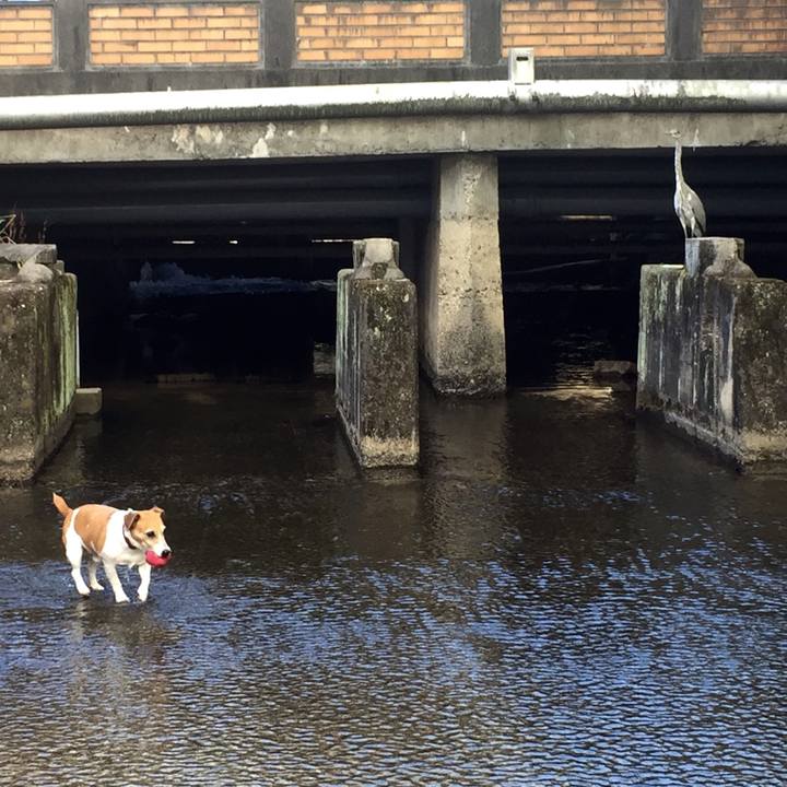 832648f8 633b 4a78 865e 7e2b8b2a81f0