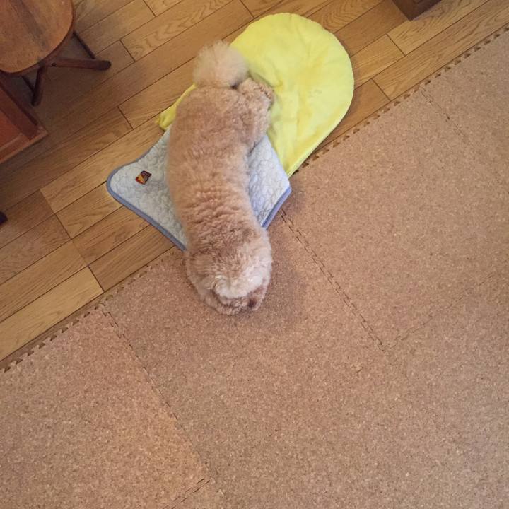 83268c3b e616 48b7 8604 d08b16d51beb