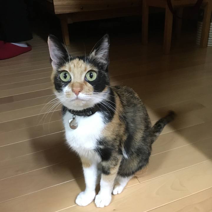 8326a2d8 b133 4146 ba0b 77e78a2113b1