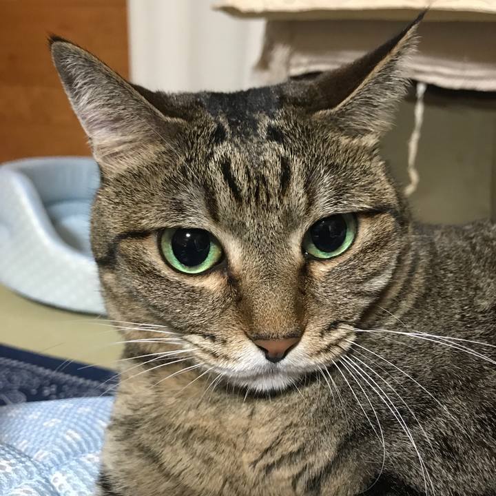 8326e2ab 135a 463c 8585 96370232399e