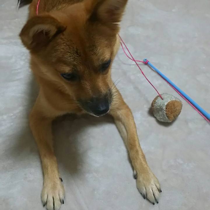 8327a606 d45a 4d83 b9bd 799451980864