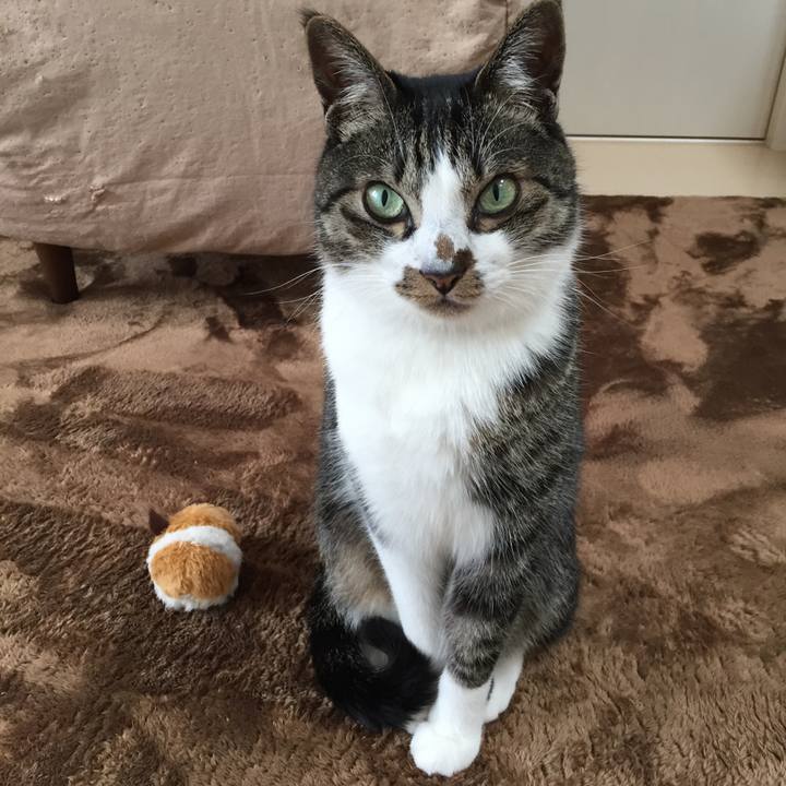 83291981 7b41 4eff 8ec2 6732bfcfebcb