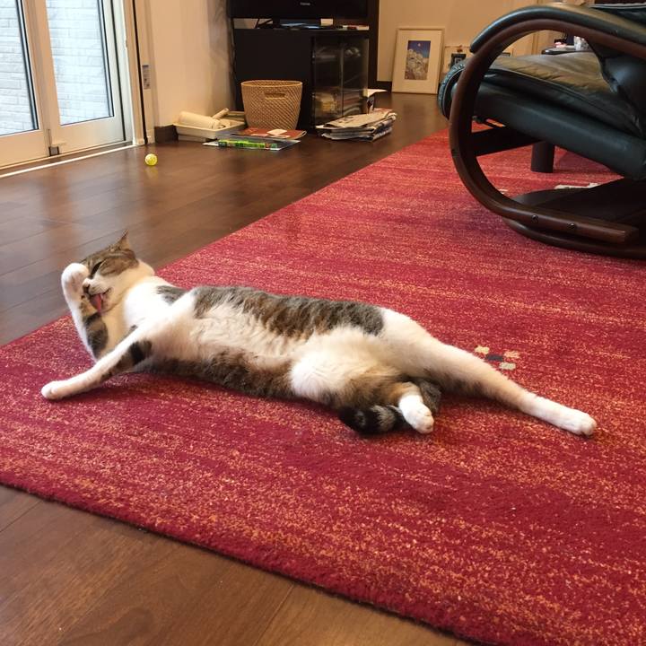 83297cca 31c0 4ded ba81 23ba5d860630