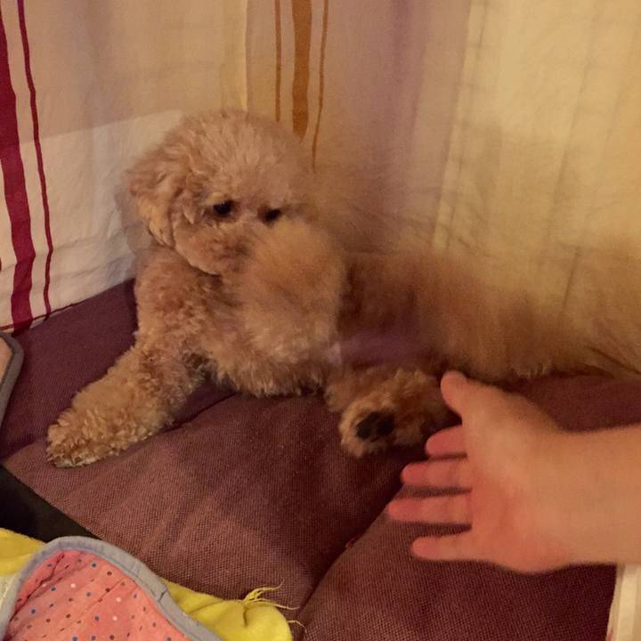 8329af38 745f 4798 a0cd b448f40c0cdd