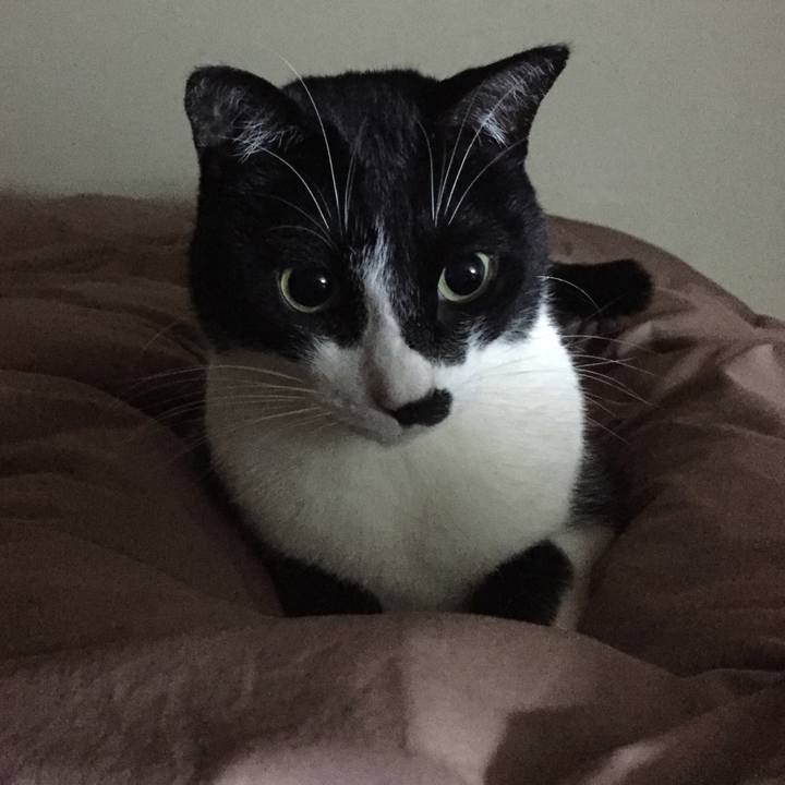 8329b94f 4f50 4485 97c0 b61cd68b5c7a