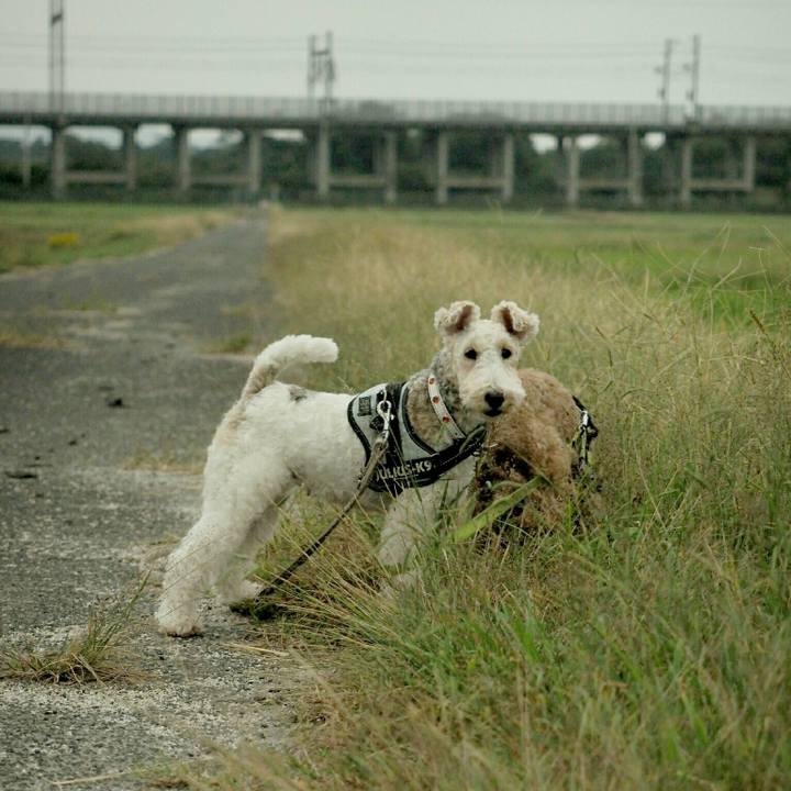 832a4cc5 053d 427f 8940 b36d6eb08e70