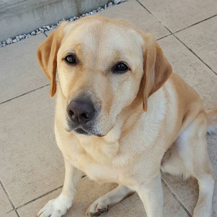 832b1060 7dad 4221 8f80 fcaf9028fa20