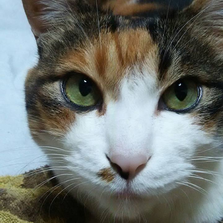 832b2102 5995 499a a94b b5a118e2b6f2