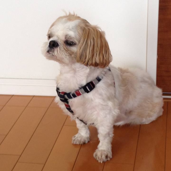 832b42e6 508b 4be9 8e6e 62c719b75a0c