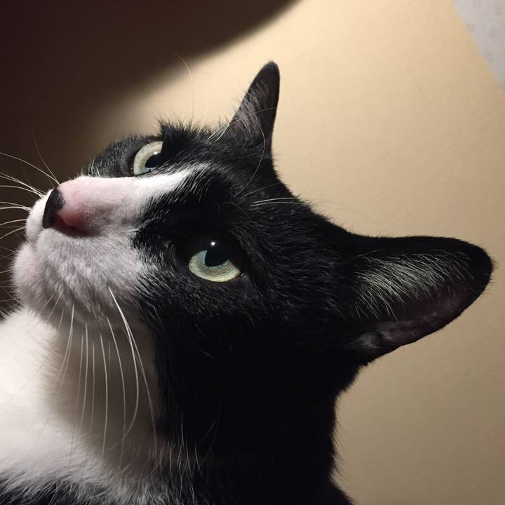 832b54e1 147d 454f bca5 d372e42a6b63