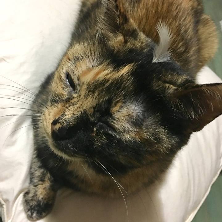 832bee1d 2602 48ba 8398 8d01e91122d0