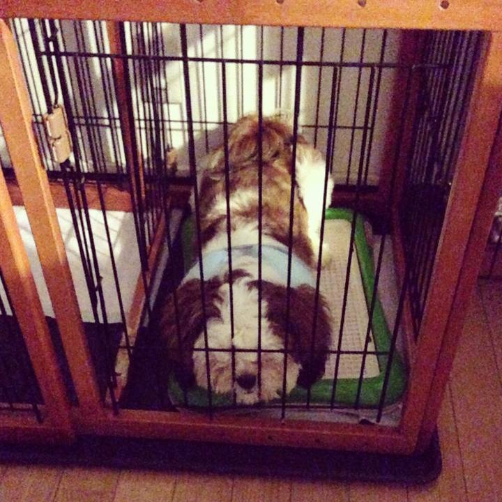 832c1c08 f036 49eb 81e8 25f07f754928