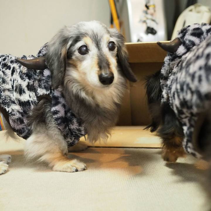 832c3c54 9121 47ab bacd 197e4c0c6dde