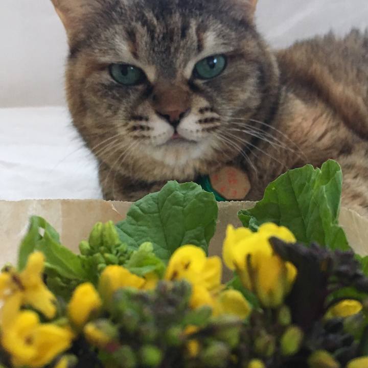 832e1ad9 7bff 47a4 b196 818813876f49