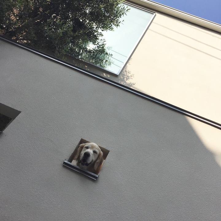 832e945f c57b 49c8 b3e8 4d7ffa801926