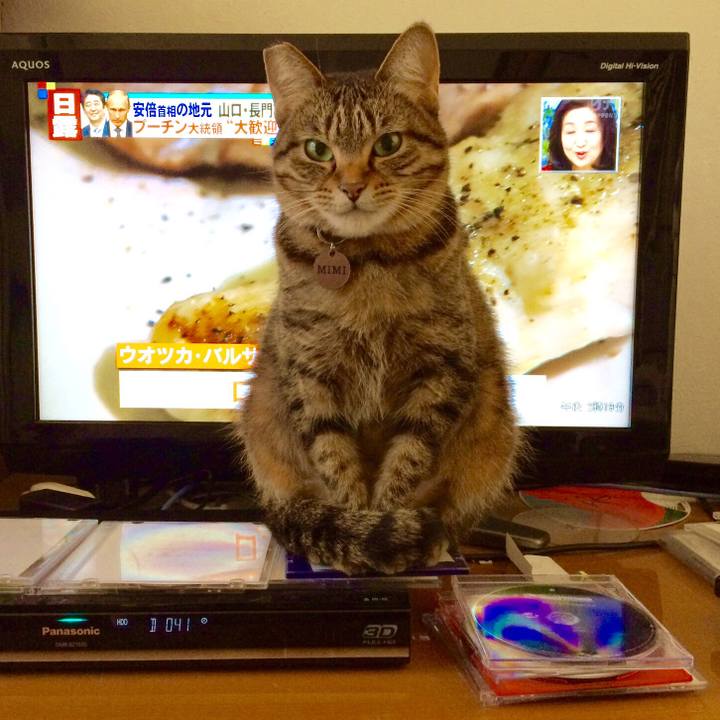 832e9d1b 71b9 4229 9888 9858206b9e0e