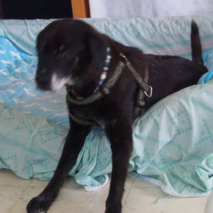 832ebe58 ae53 4d91 8bba 55237224c120