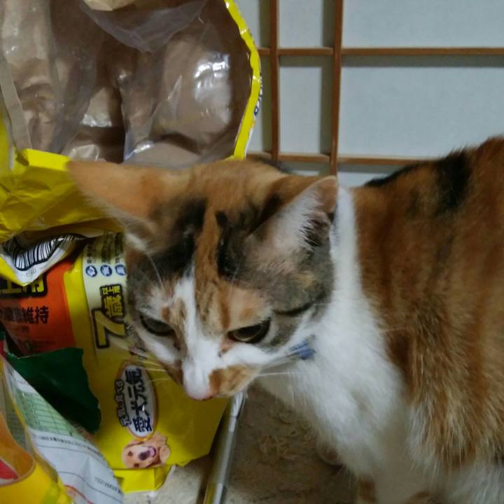 832ecb68 f69b 4bef 9213 d8f6191246af