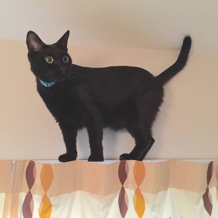 832ef3eb d8ee 4b70 a5d4 b20eb2fa78e9