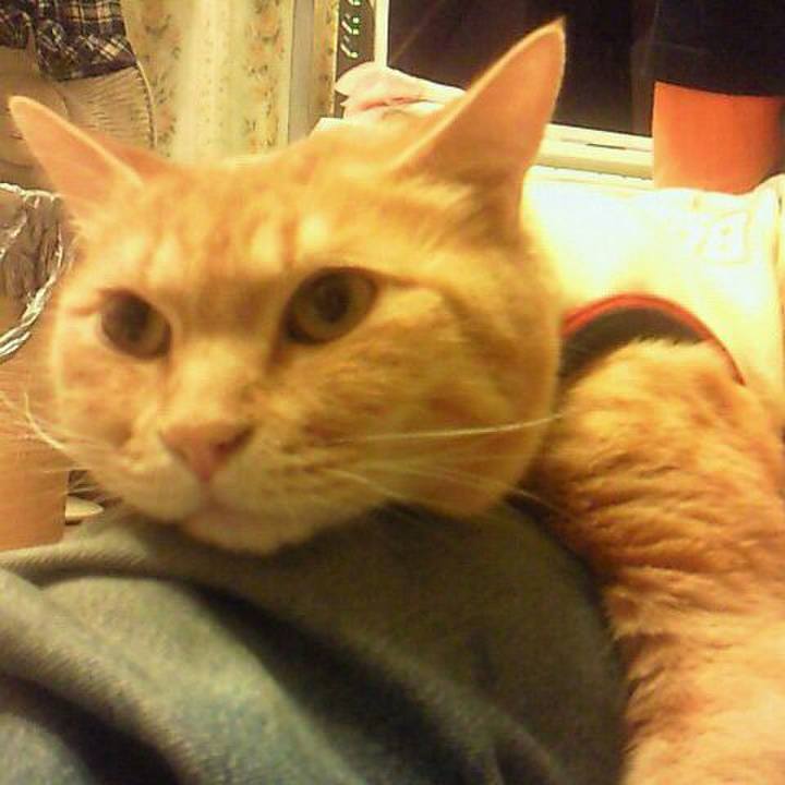 832f70a2 67e1 48bd a5be b7e2cc342eab