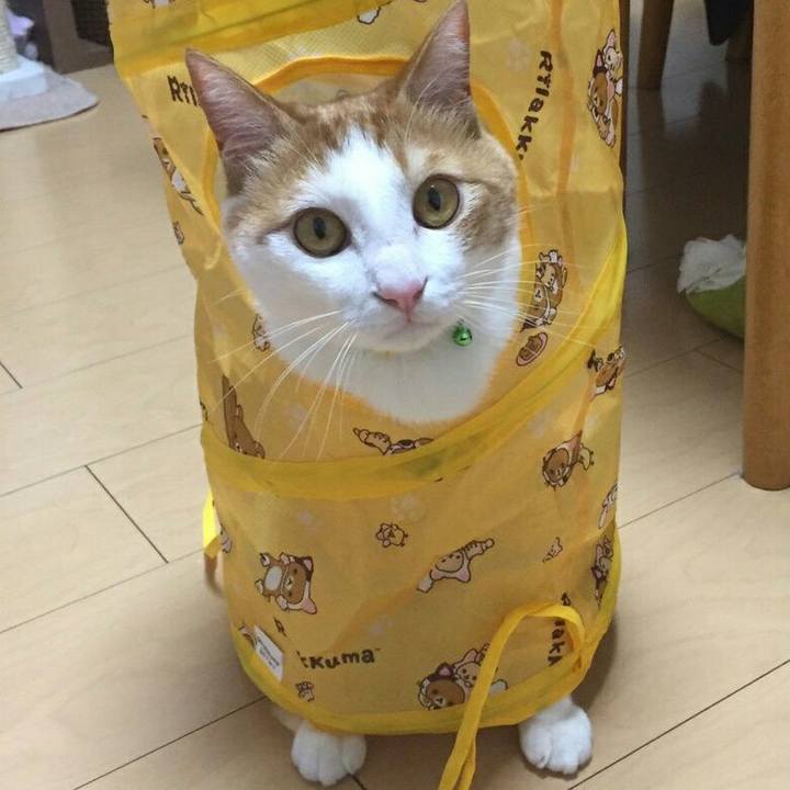 8330a322 89ad 46e4 bade 7e6205e1de4f