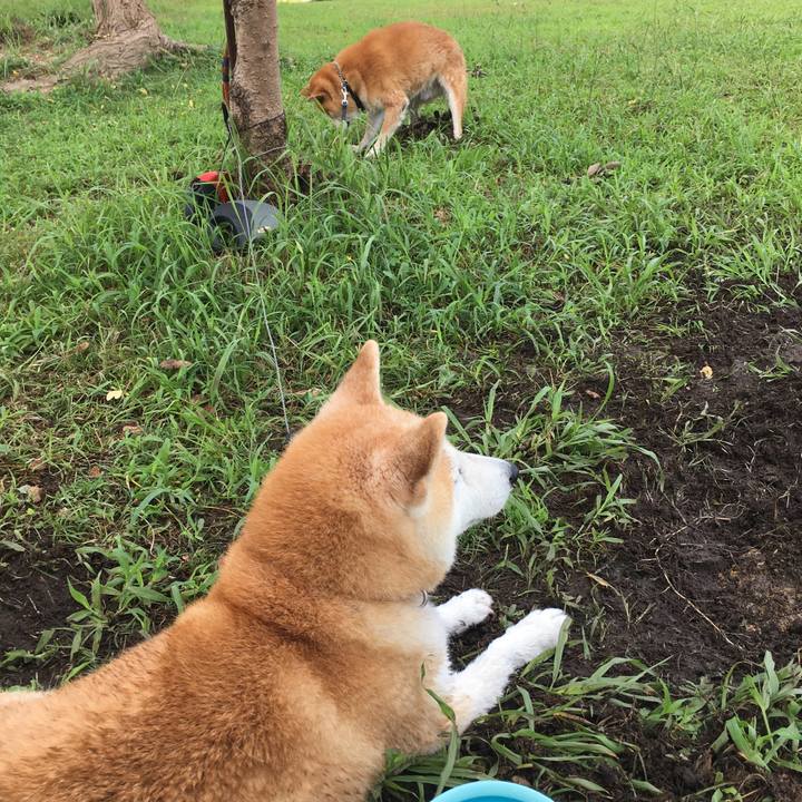 8330fa8c 9500 4bf5 b5ff 771e866039ad