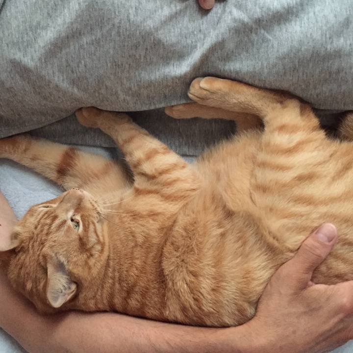 83312095 9f54 4930 b43a aedde25107d1