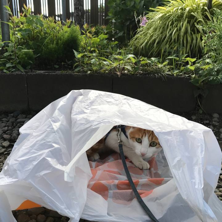 83315b5a 75ba 4096 9843 2762d1ca5422