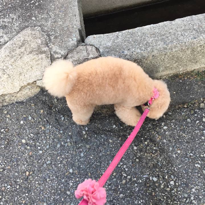 83317f0e 62ef 4092 b2ac a95c2ac3700a