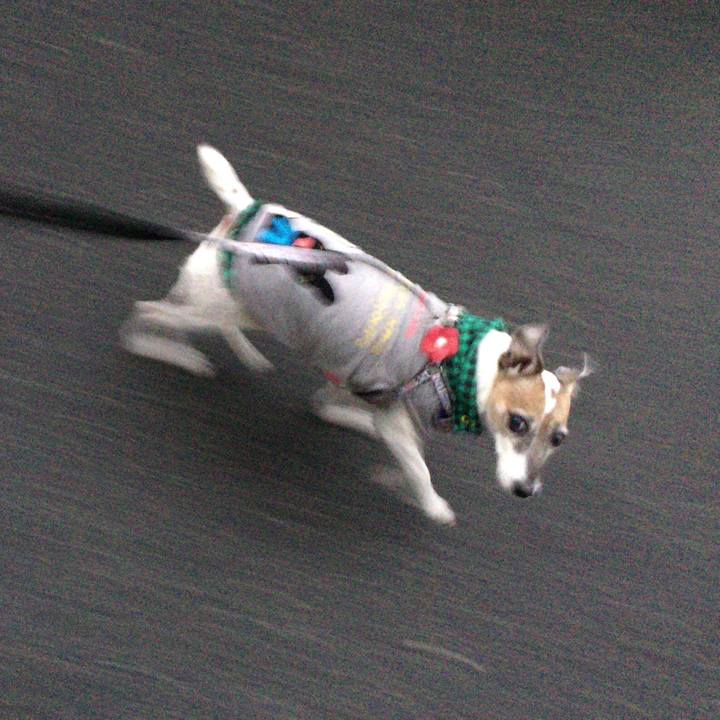 8331dbbb 7bfb 47d3 abdb 2a9c2878664e