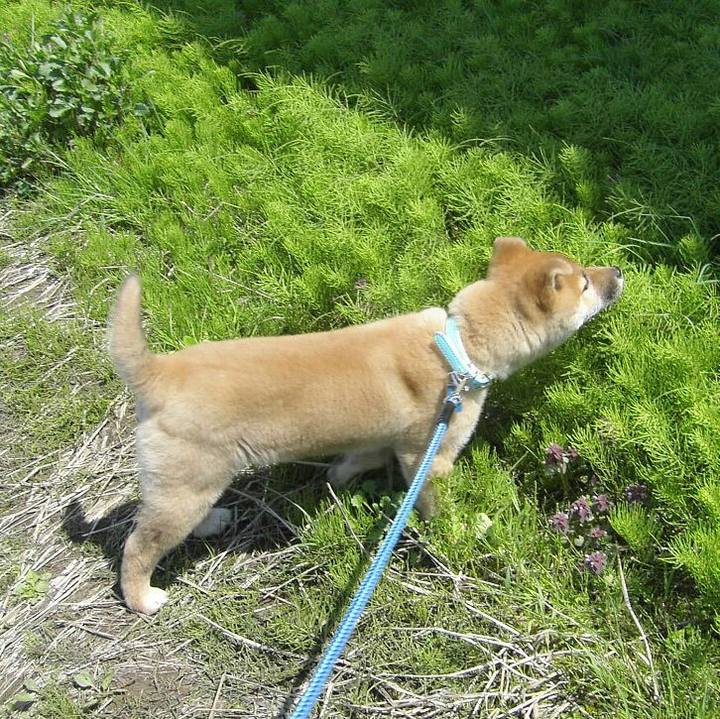 83320303 afe9 4122 ad1c 1072646d33a3