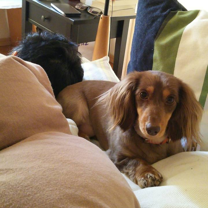 83328fdf 3f3c 48f4 a651 5b436e433644