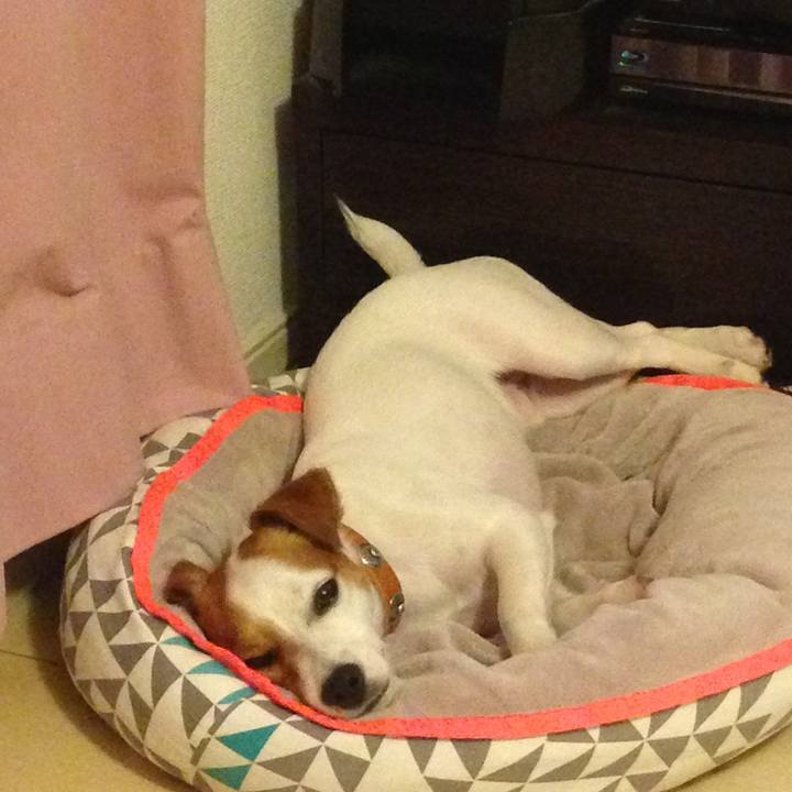 83334c95 f4a2 41be ad3d 35a262c17eff