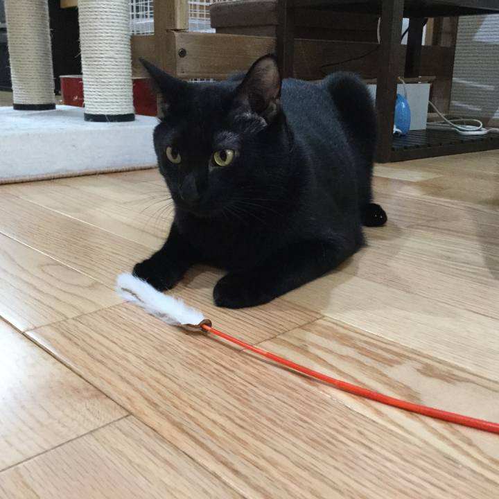 8333e8db 9291 4c1c add7 0a4c6e7874ef