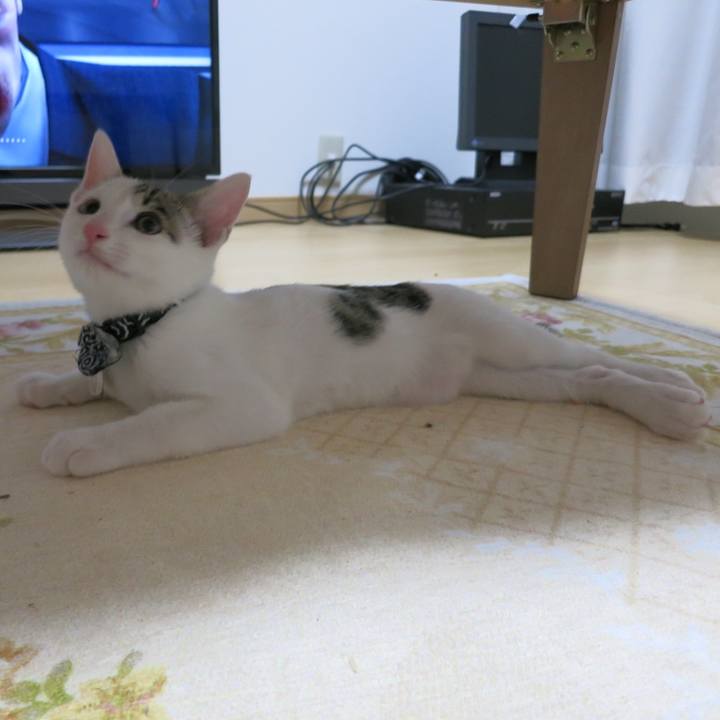 83342fd0 6781 475b b4a5 9b664ac31313