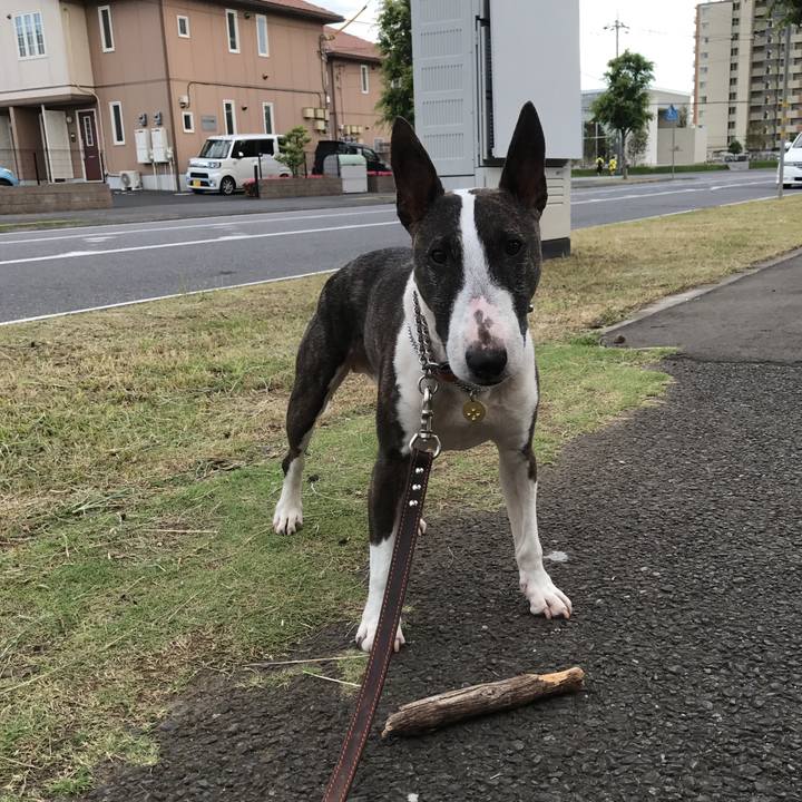 83348564 fe92 4625 92ec c5c732f8e9fa