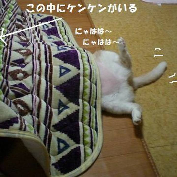 8334a934 1eb9 4ff6 9aa1 0d2bce855a38