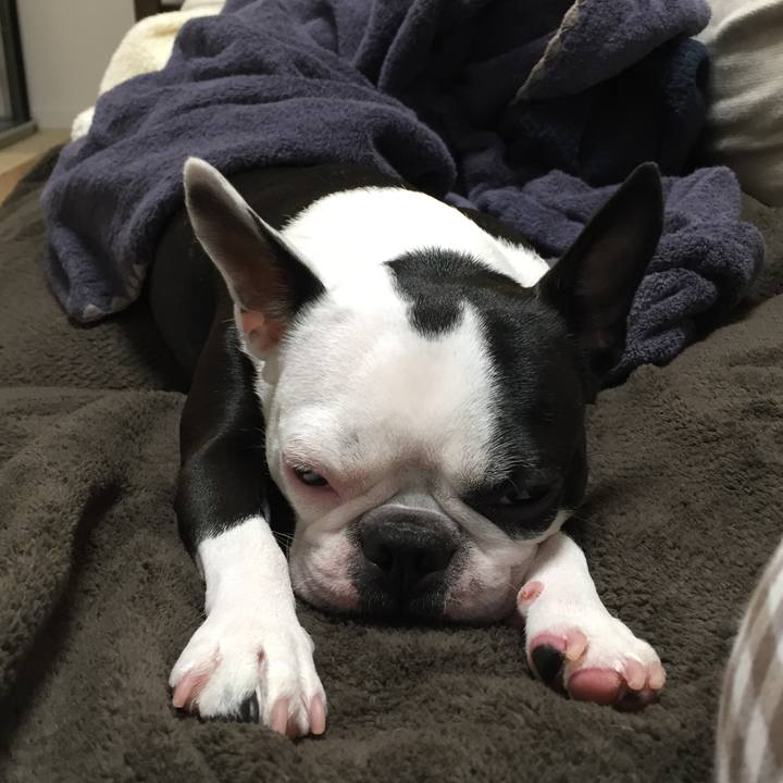 83352fb9 3998 48ed 9db4 c98f00c4bfe4