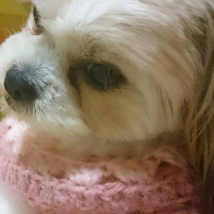 83355584 2f03 49d3 b297 456245a93546