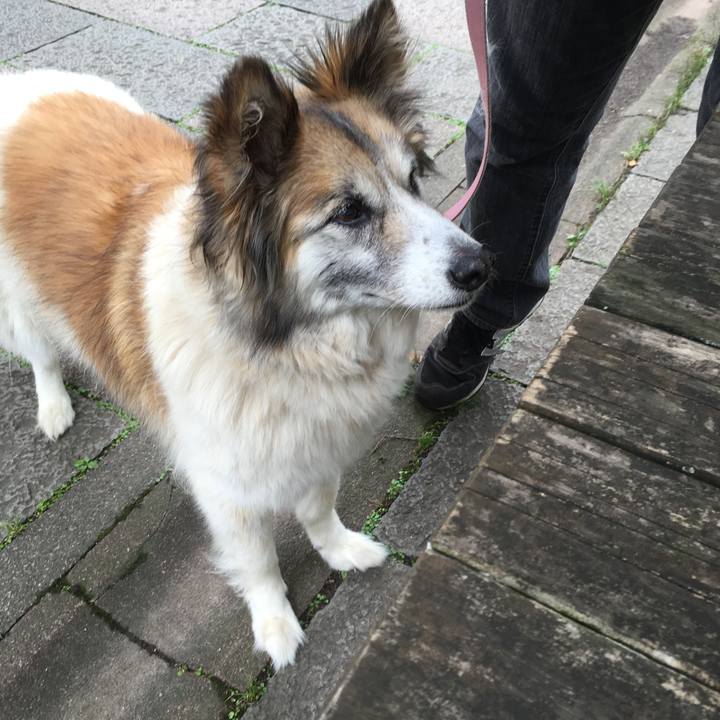 83358bb1 665e 4bee 98b0 b08c52308c20