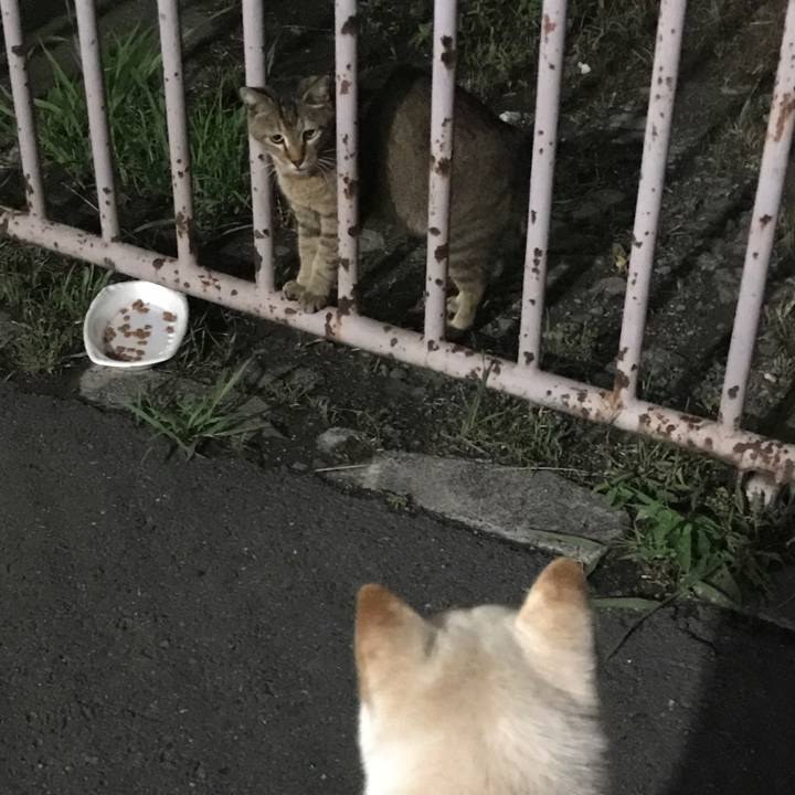 83359c03 6703 4e7c 975e a050ed6078ba