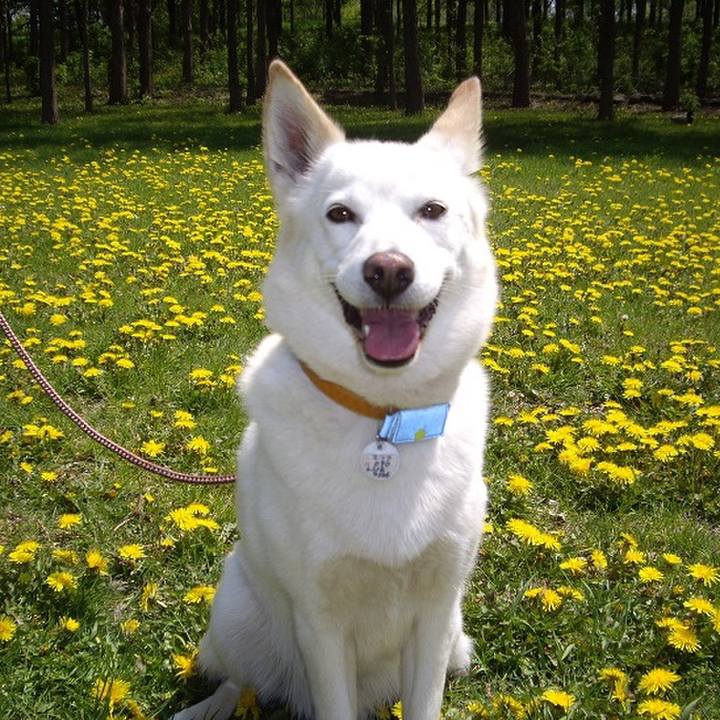 8335d90e acdf 402f 85b3 dd6bd98d8f83