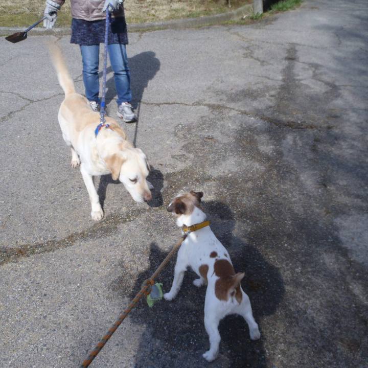 8335fd69 7fa0 4c88 a4c1 9bd4a537f385