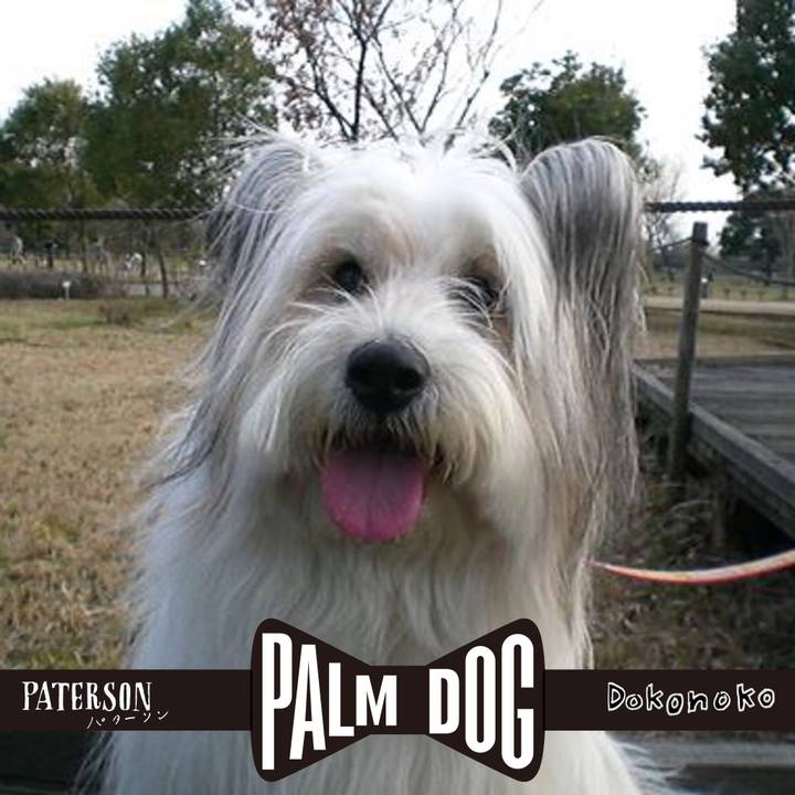 83360f52 0539 46c3 b7a0 9efc7f2c9628