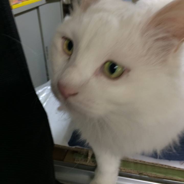 833756da e421 4906 b208 77ac86978e73