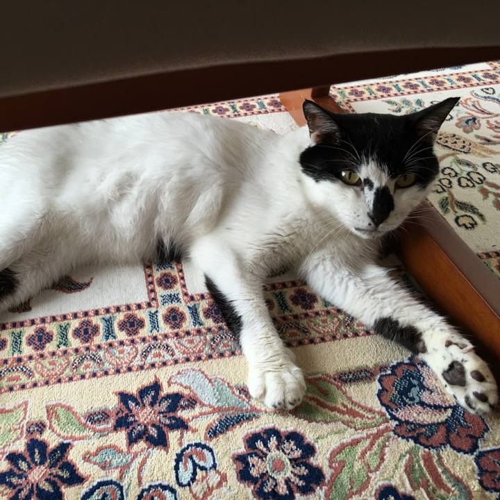 8337d957 ed54 4467 9803 d658322b6c3d