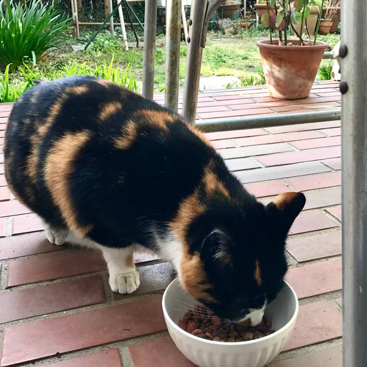 83387dc7 9dc3 4f49 b20b bbe399deb682